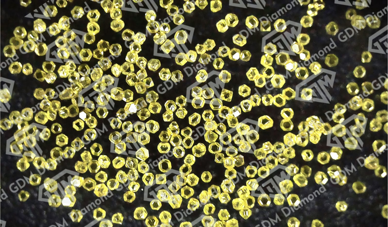 GDM Diamond Powder Inspection